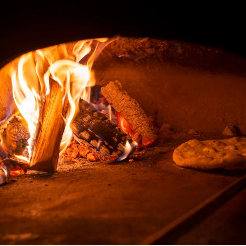 horno pizza leña